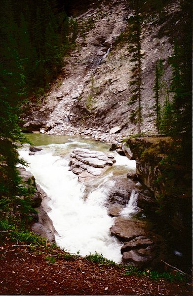 jasperscan0029