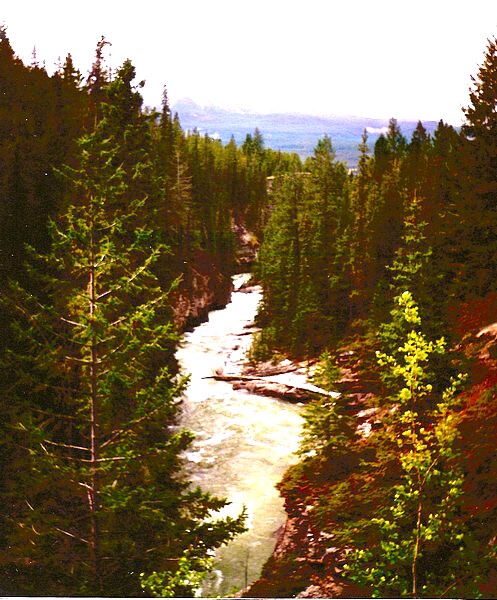 jasperscan0030
