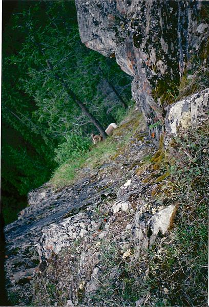 jasperscan0037